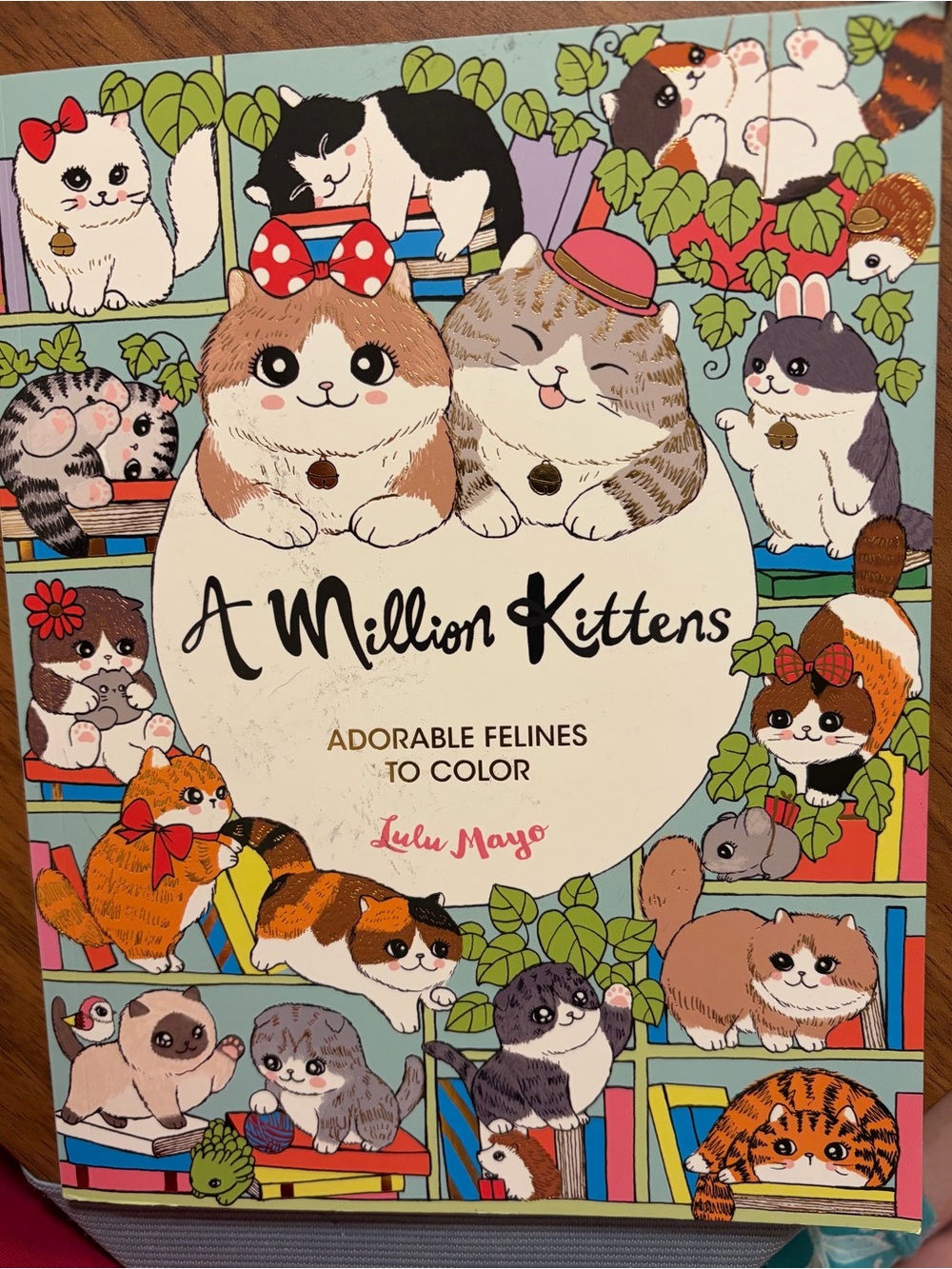 A Million Kittens Coloring Book by Lulu Mayo / 60 Pages